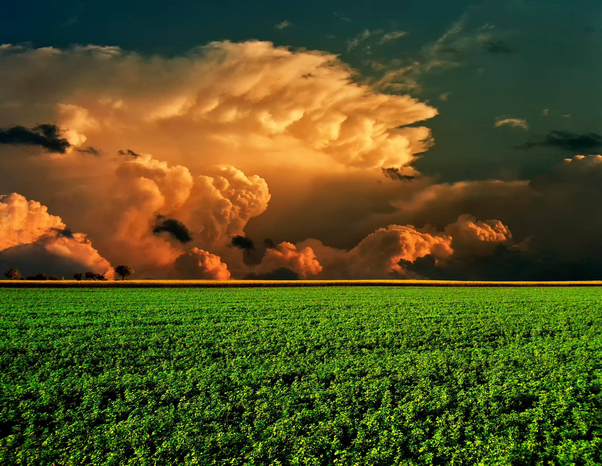 Field High Resolution Clouds Background