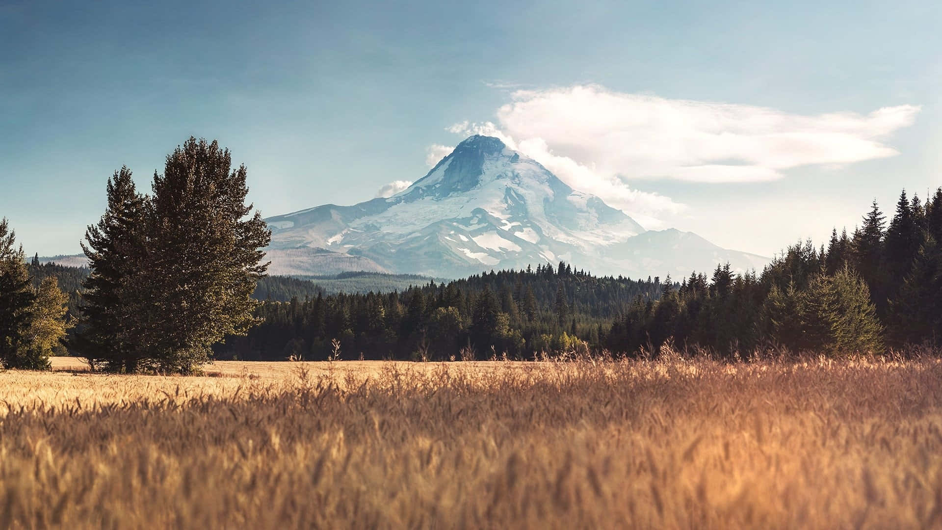 Field Mountain Aesthetic Background