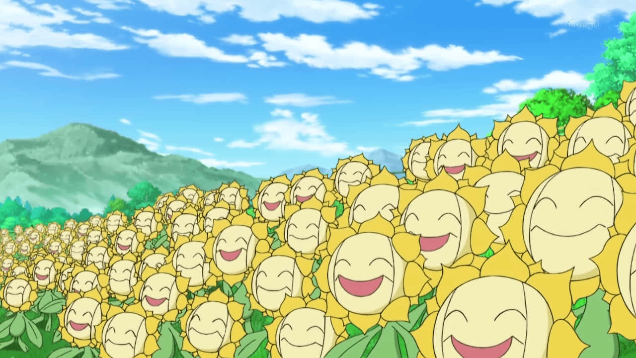 Field Of Sunflora Background