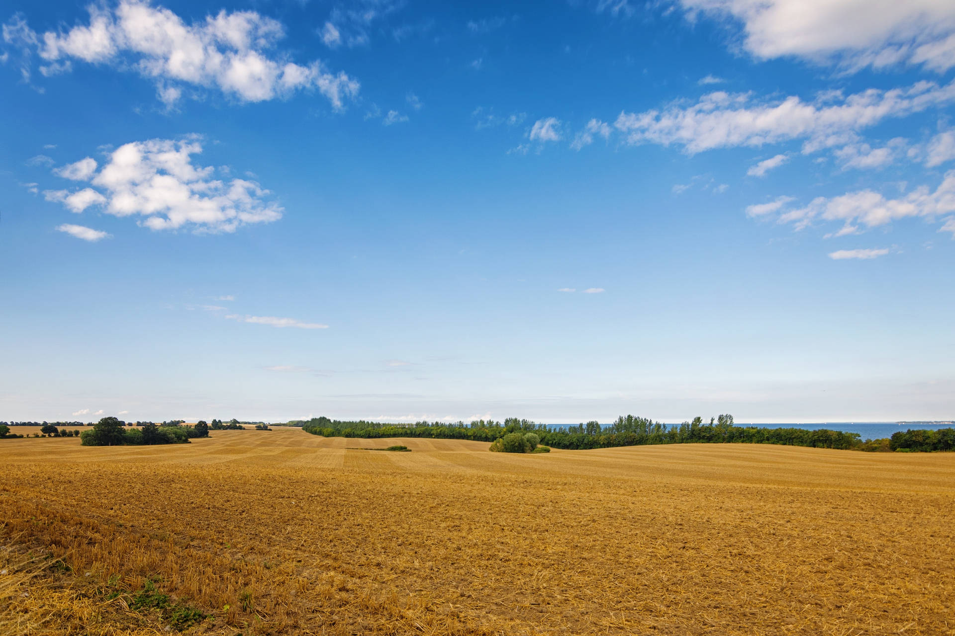 Field Sky Background Background