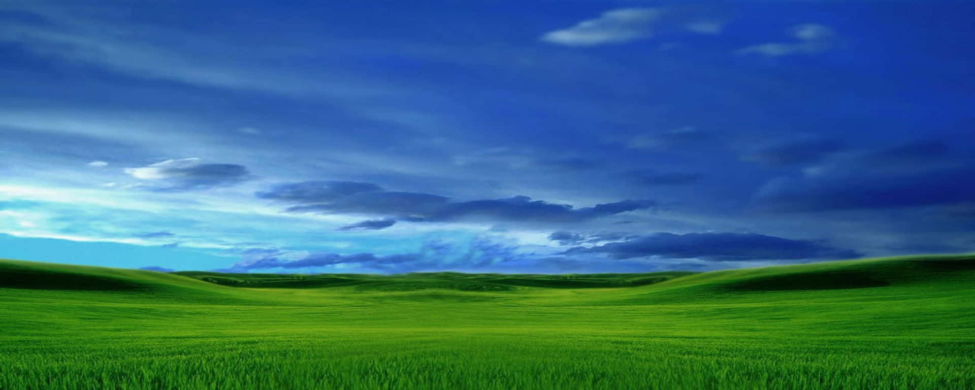 Field Spring Dual Screen Background