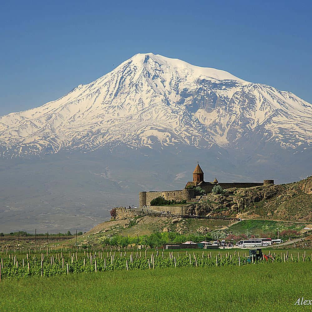 Field With Khor Virap And Volcano Background