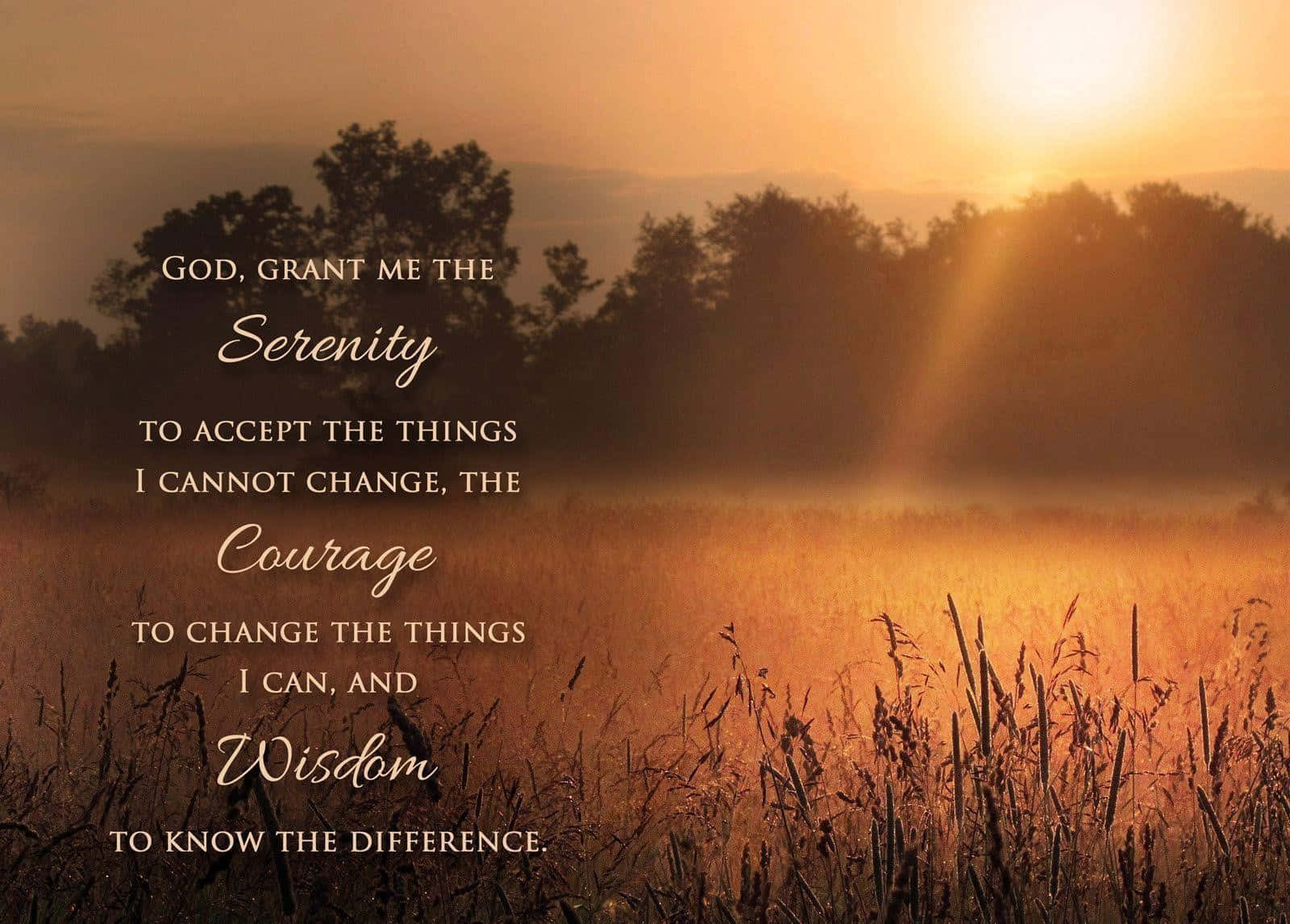 Field With Trees Serenity Prayer