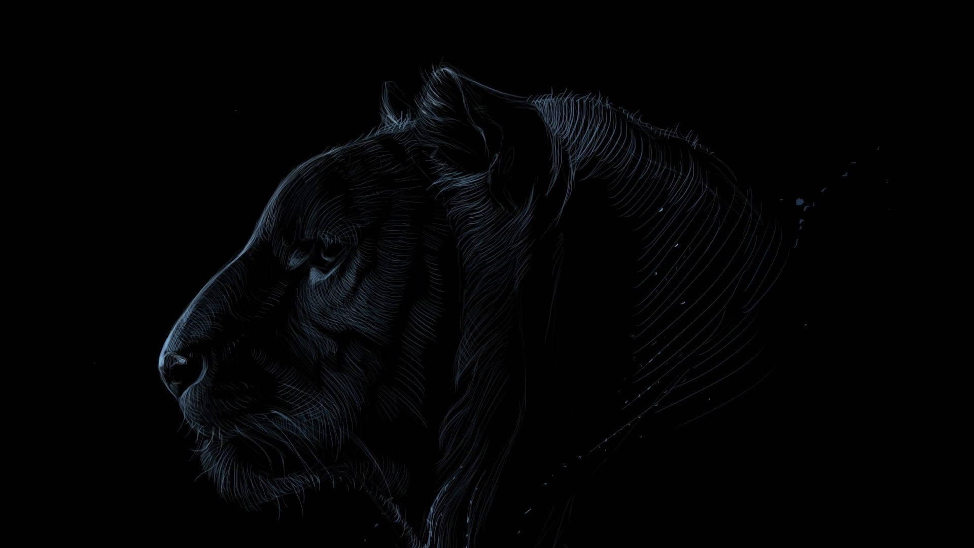 Fierce Black Lion Profile Background