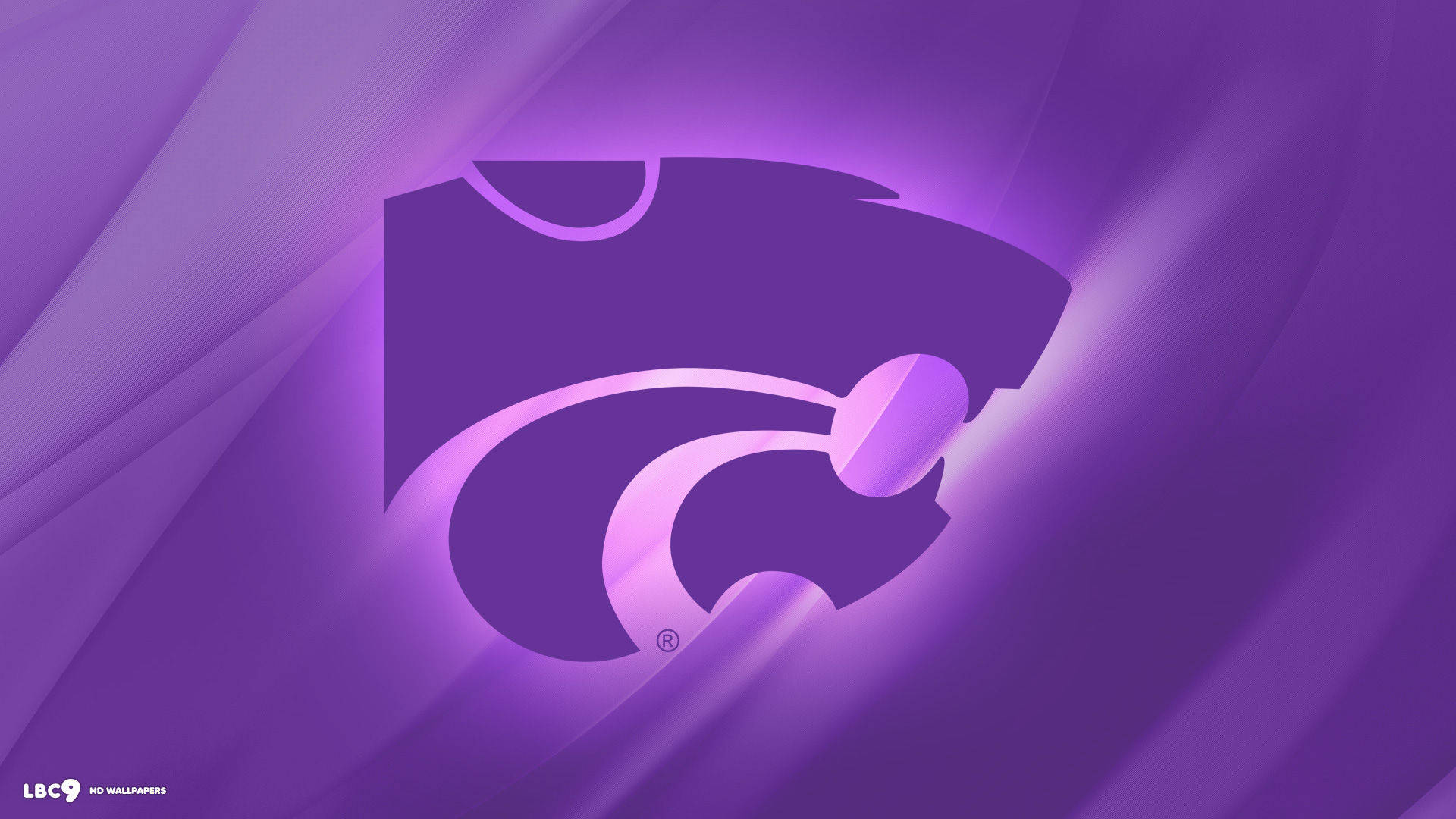 Fierce Northwestern University Wildcats Logo Background