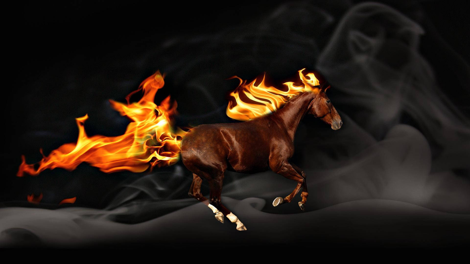 Fiery Brown Running Horse Background