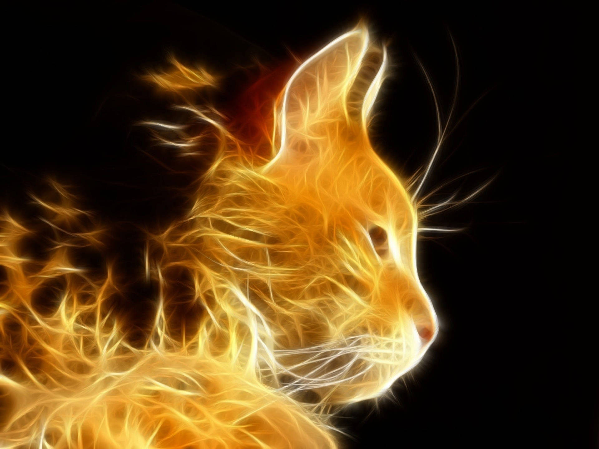 Fiery Glowing Cool Cat Background