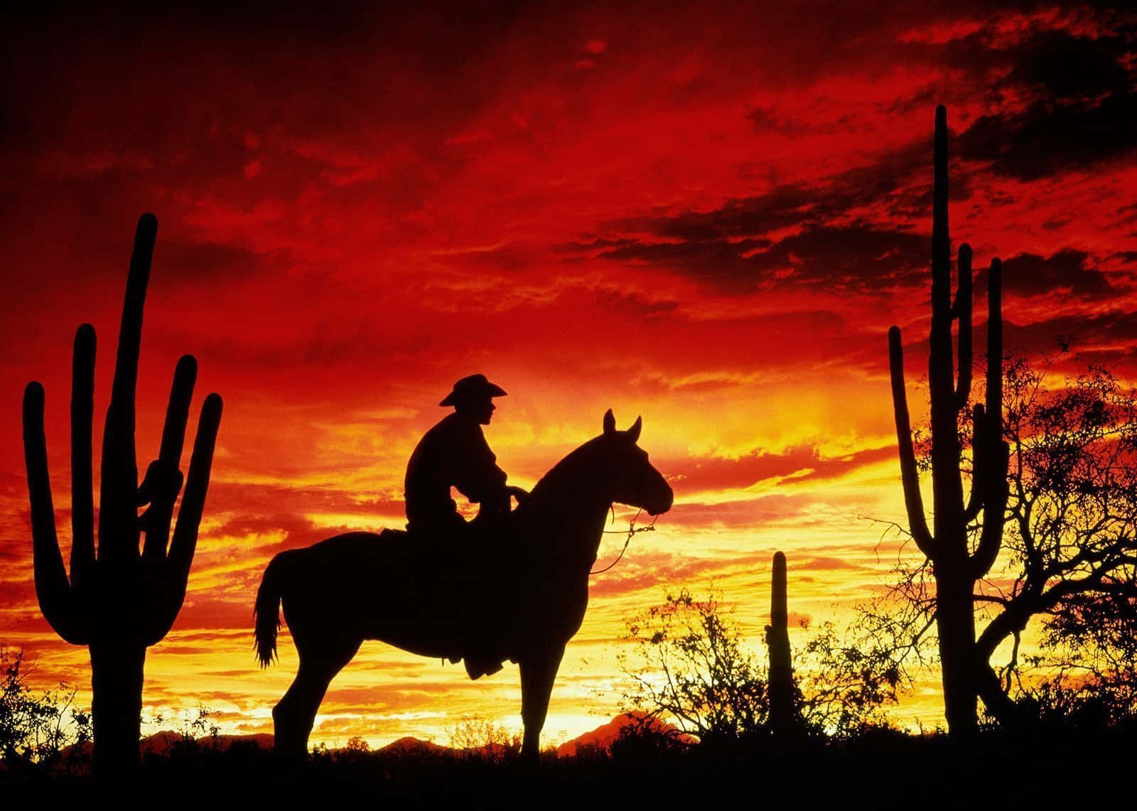 Fiery Red Sky Over Western Cowboy Desktop Background