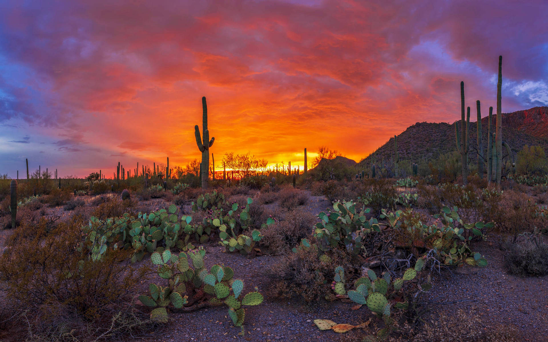 Fiery Sunset Arizona Desert Background