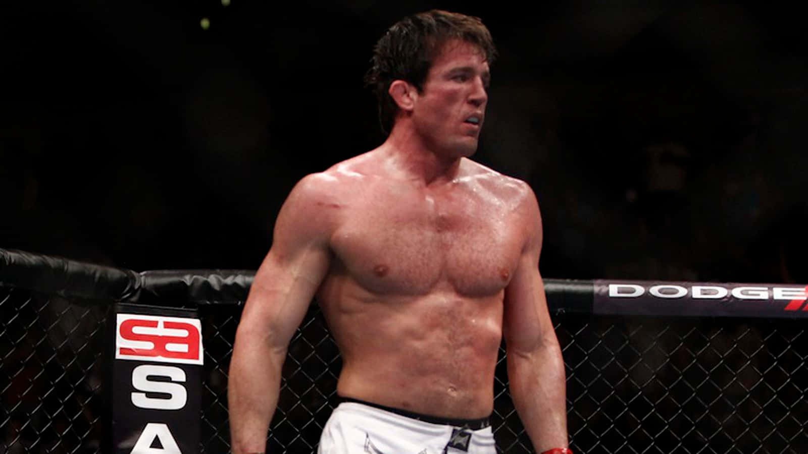 Fight Mode Chael Sonnen Background