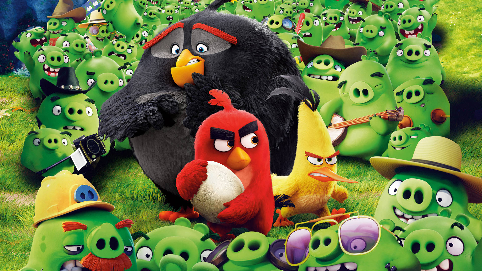 Fight Scene From The Angry Birds Movie Background