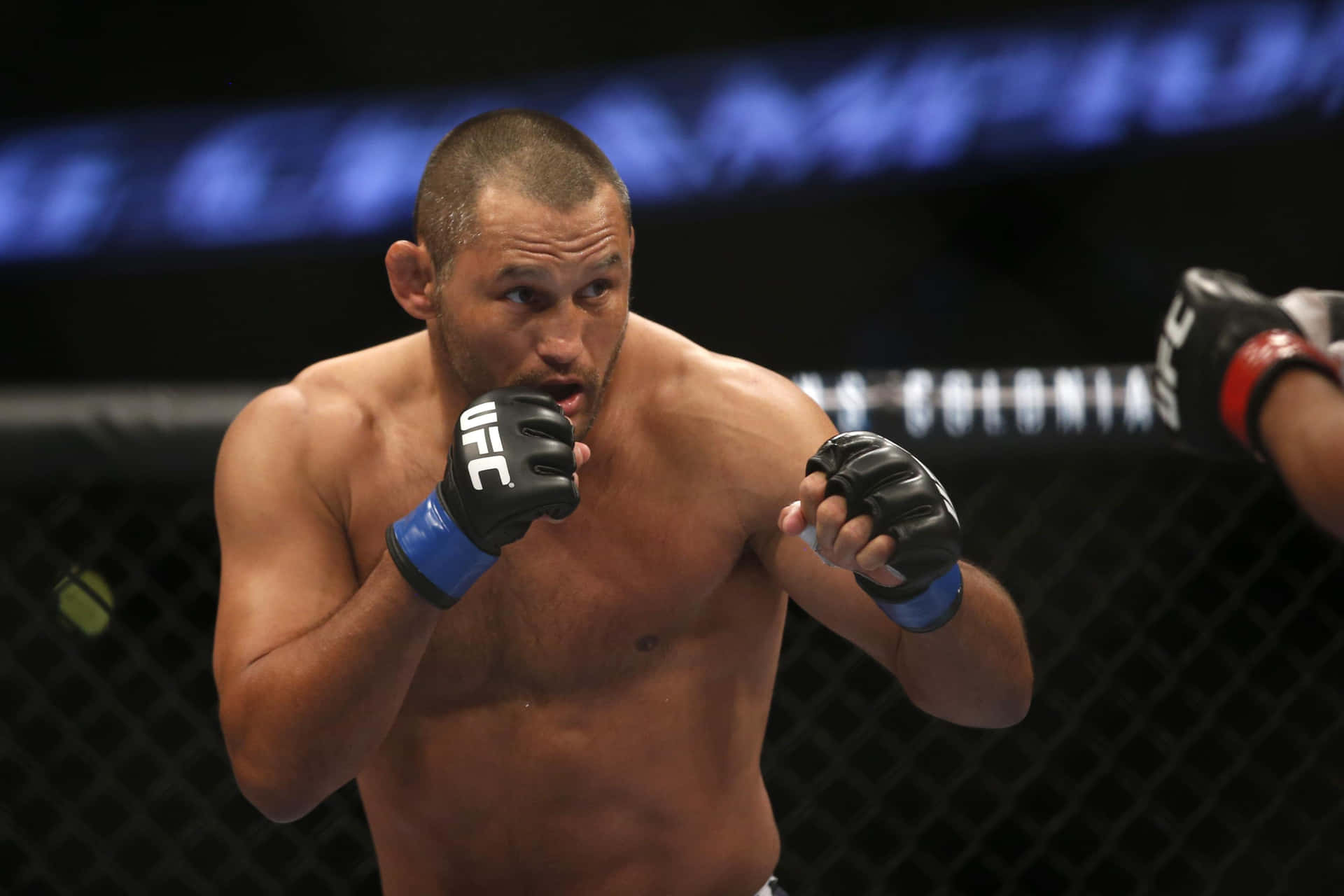 Fighting Martial Artist Dan Henderson Background