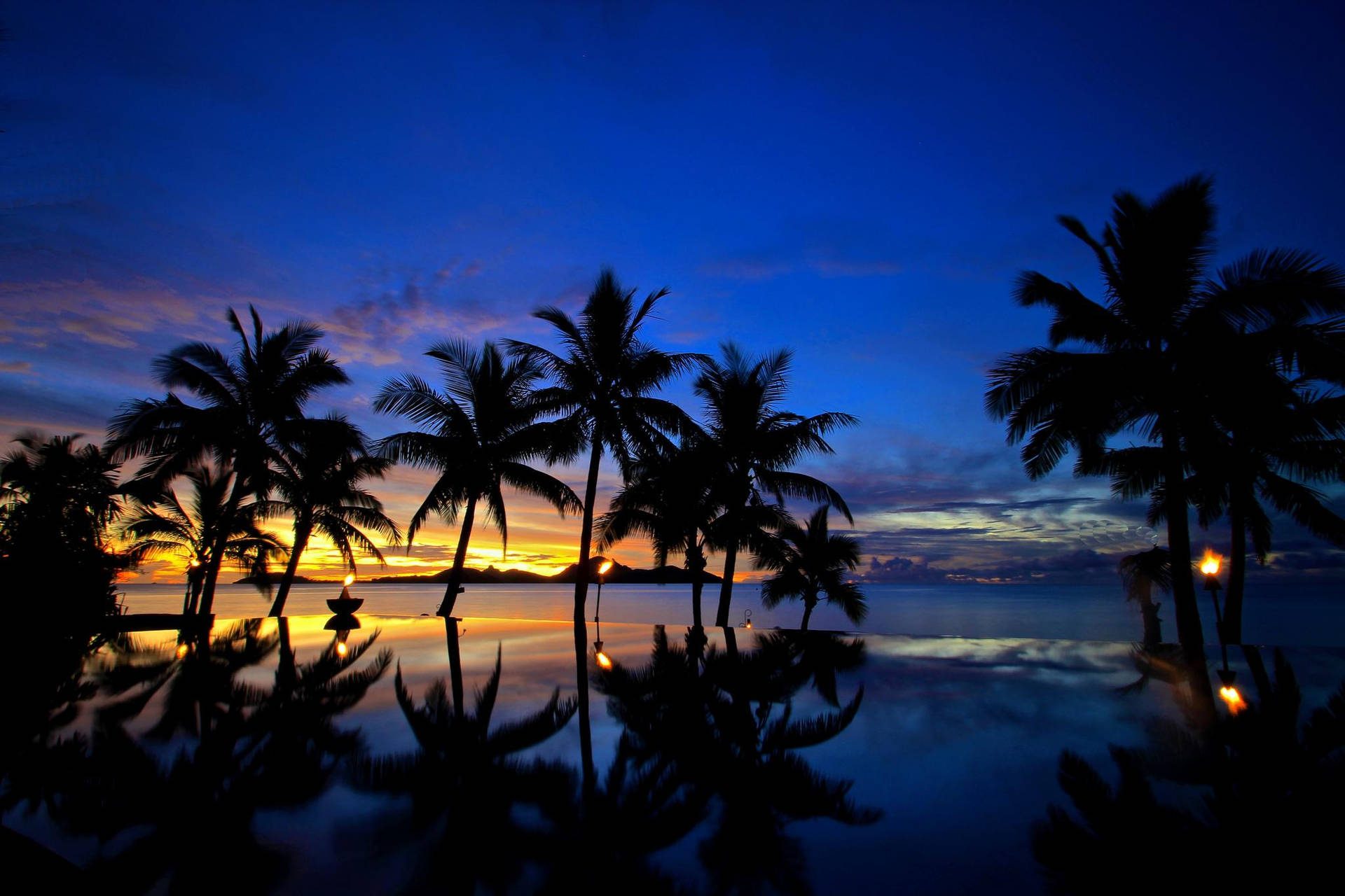 Fiji Palm Trees During Sunset Background