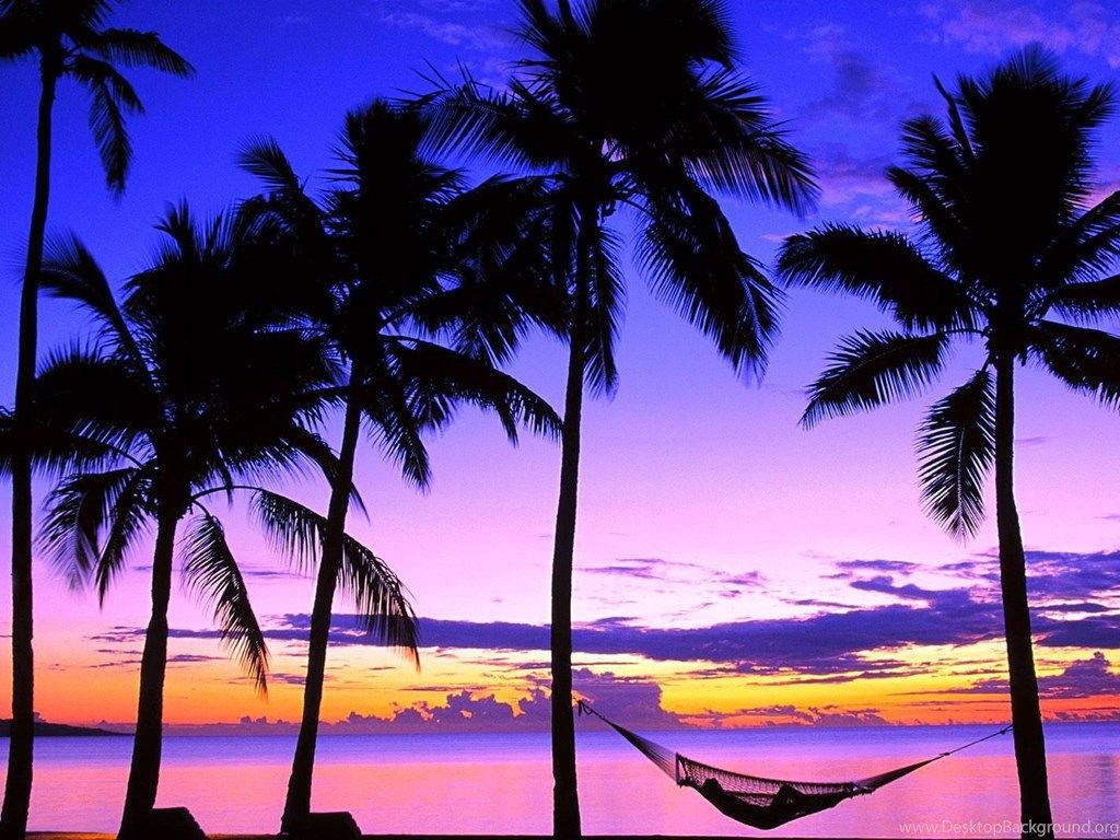 Fiji Purple Sky On Beach Background