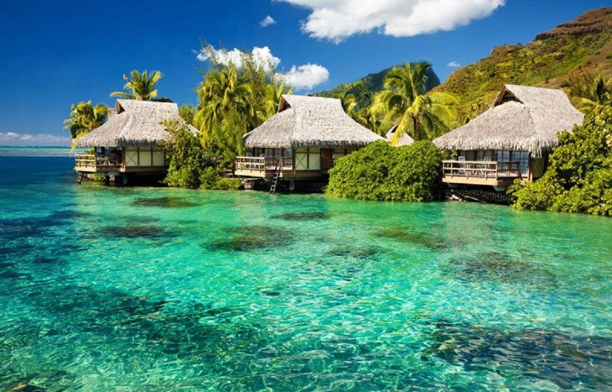 Fiji Tiki Huts By The Sea Background