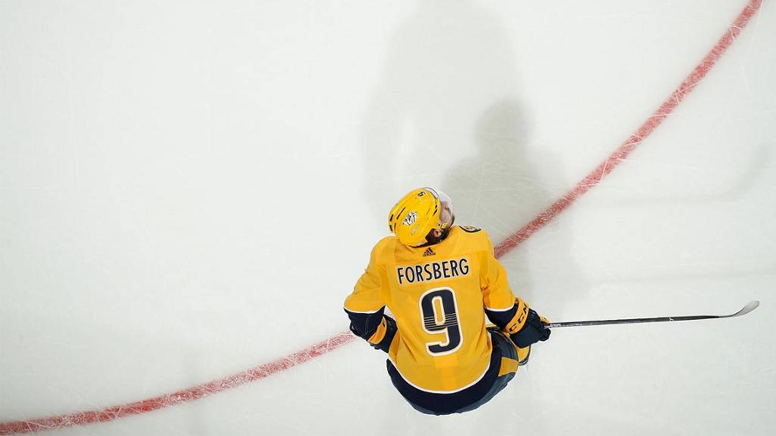 Filip Forsberg Amazing Top View