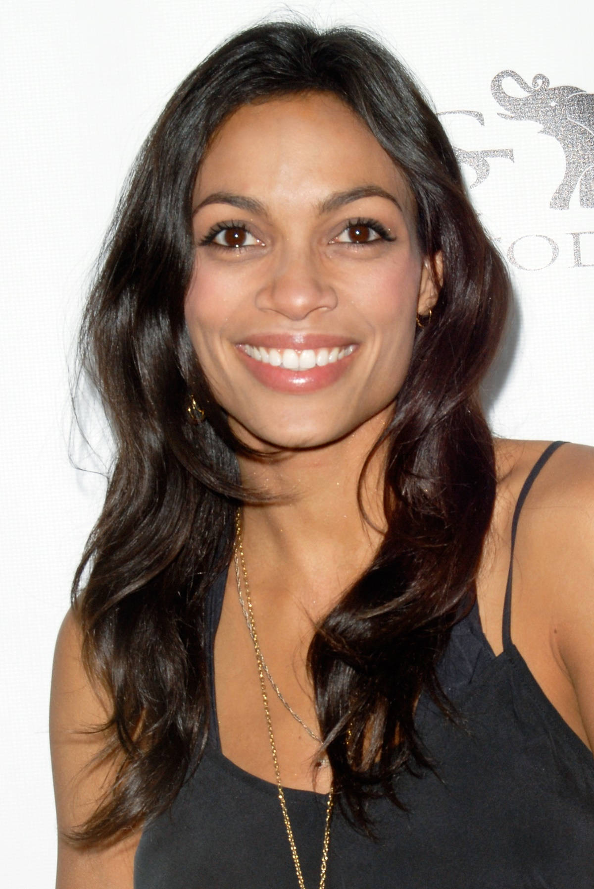 Film Artist Rosario Dawson