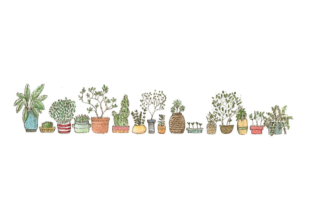 Find Balance In The Vibrancy Of Life With This Inspiring Plant Aesthetic Laptop Wallpaper Background