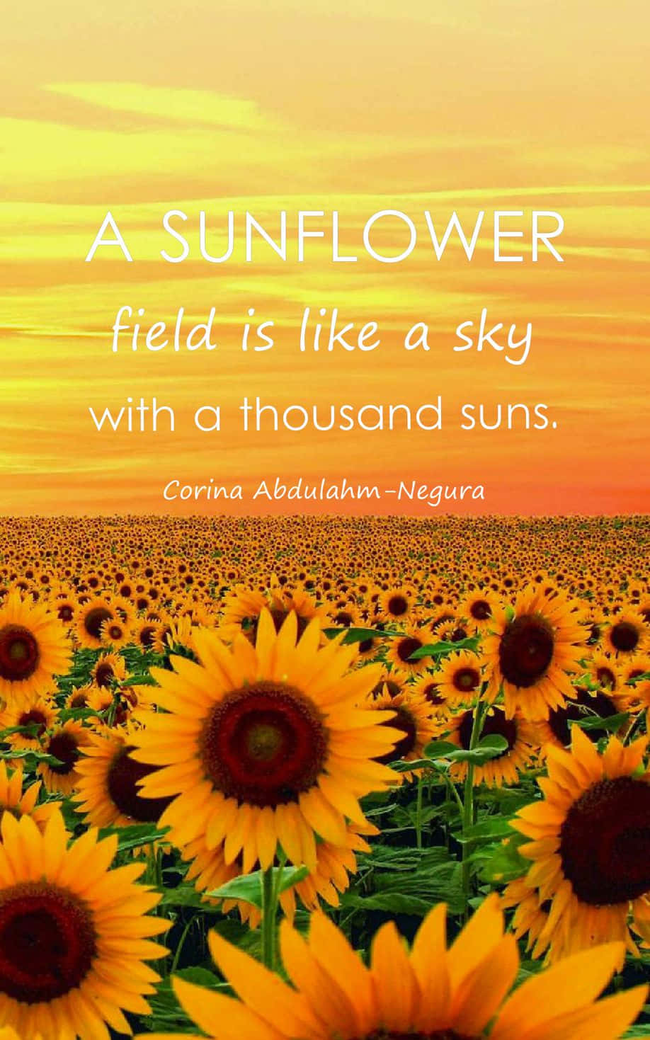 Find Beauty And Joy In The Simplest Of Things - Like Sunflowers.