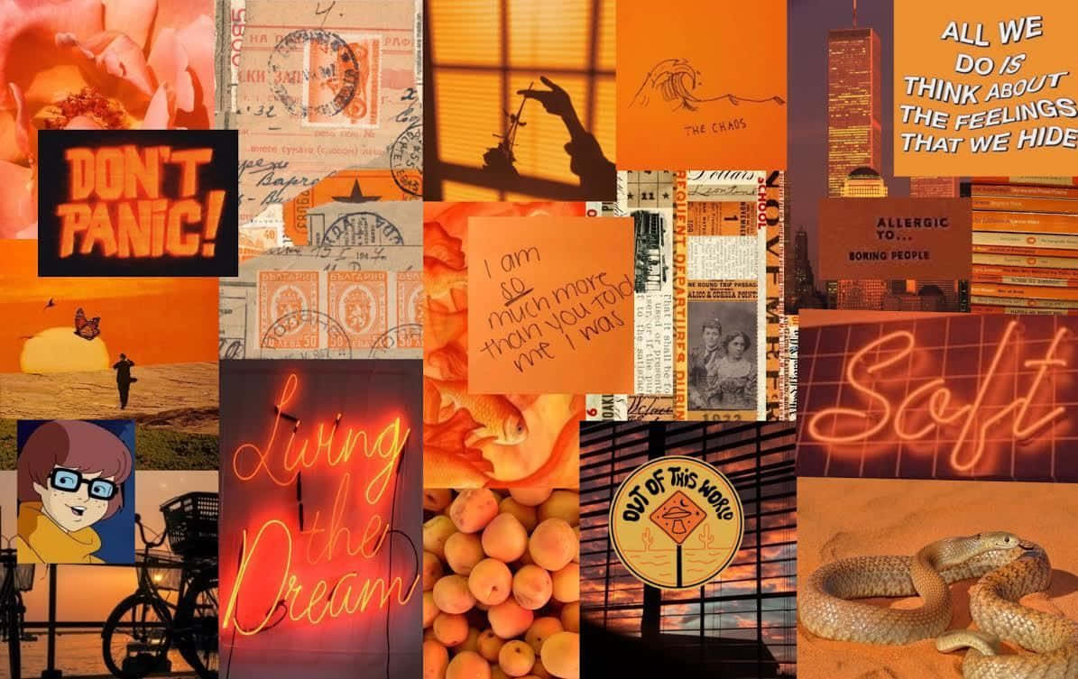 Find Beauty In The Blend Of Fall Colors In This Desktop Collage! Background