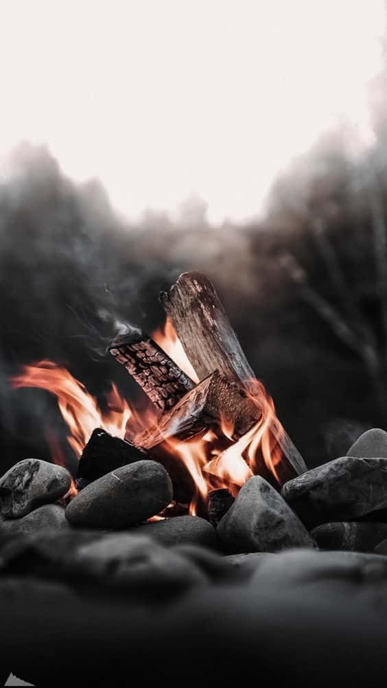 Find Harmony Amidst The Chaos Of Fire Background
