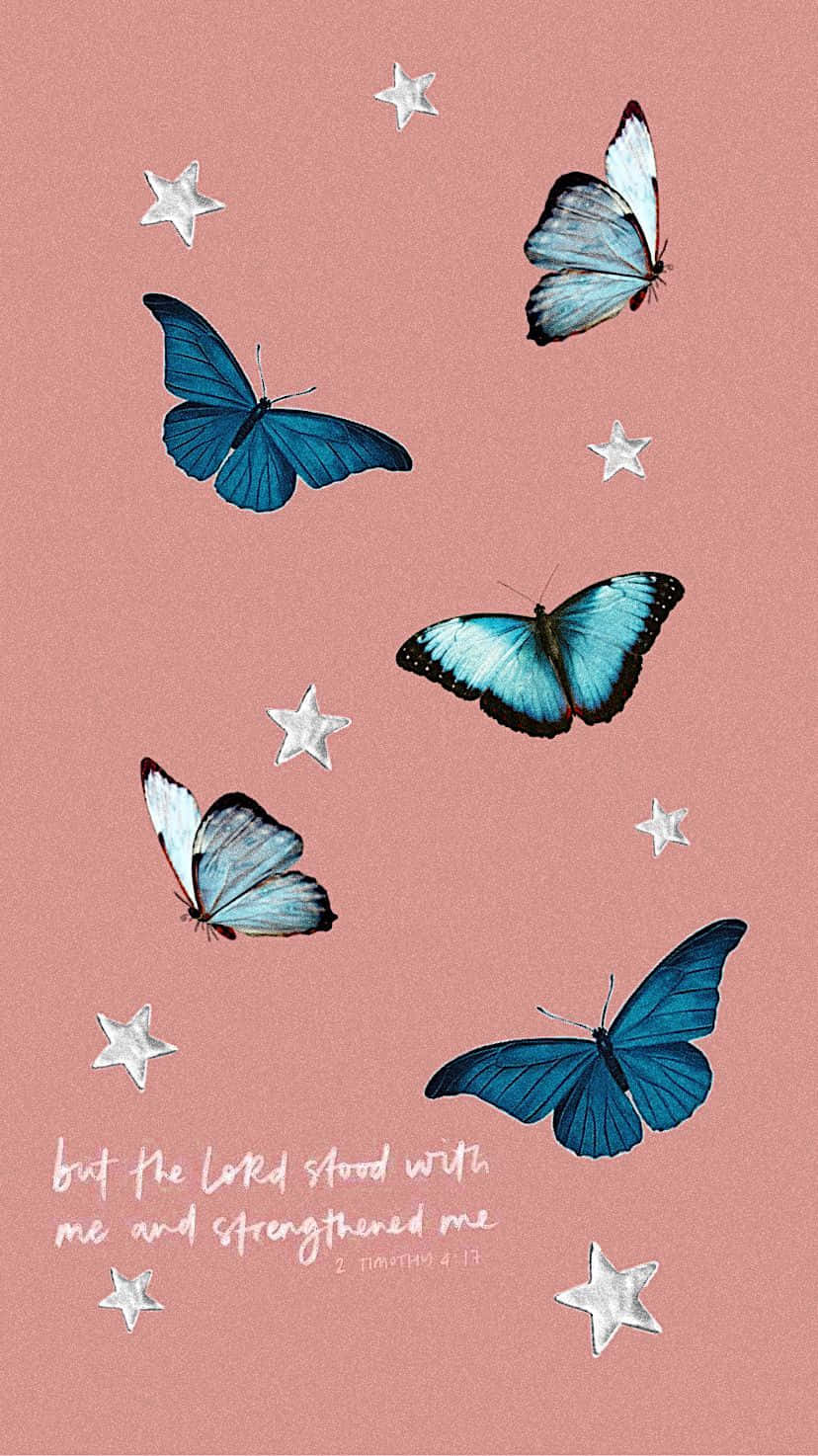 Find Joy In The Little Things Background