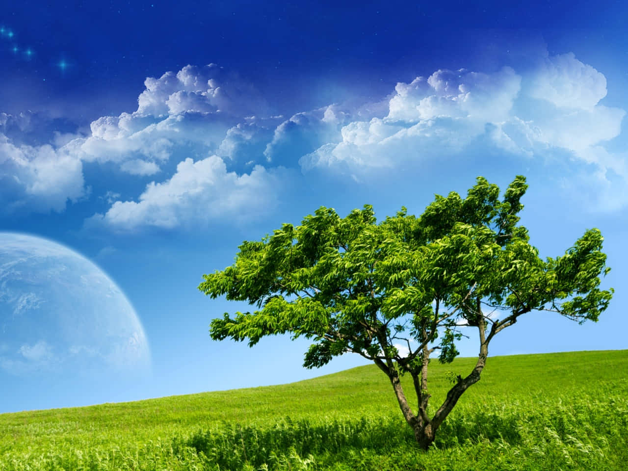 Find Peace And Serenity In Nature Background