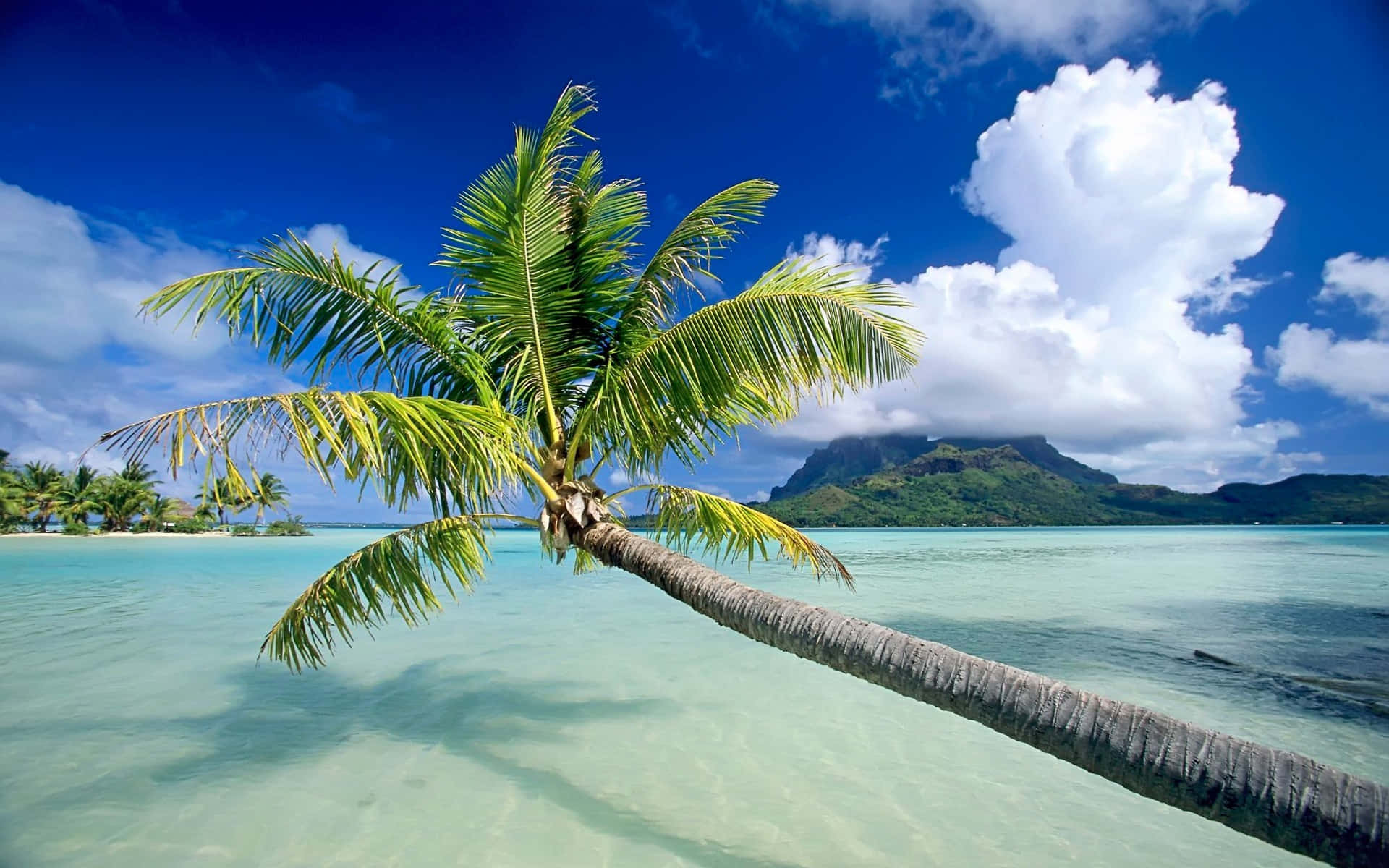 Find Peace In Nature Background