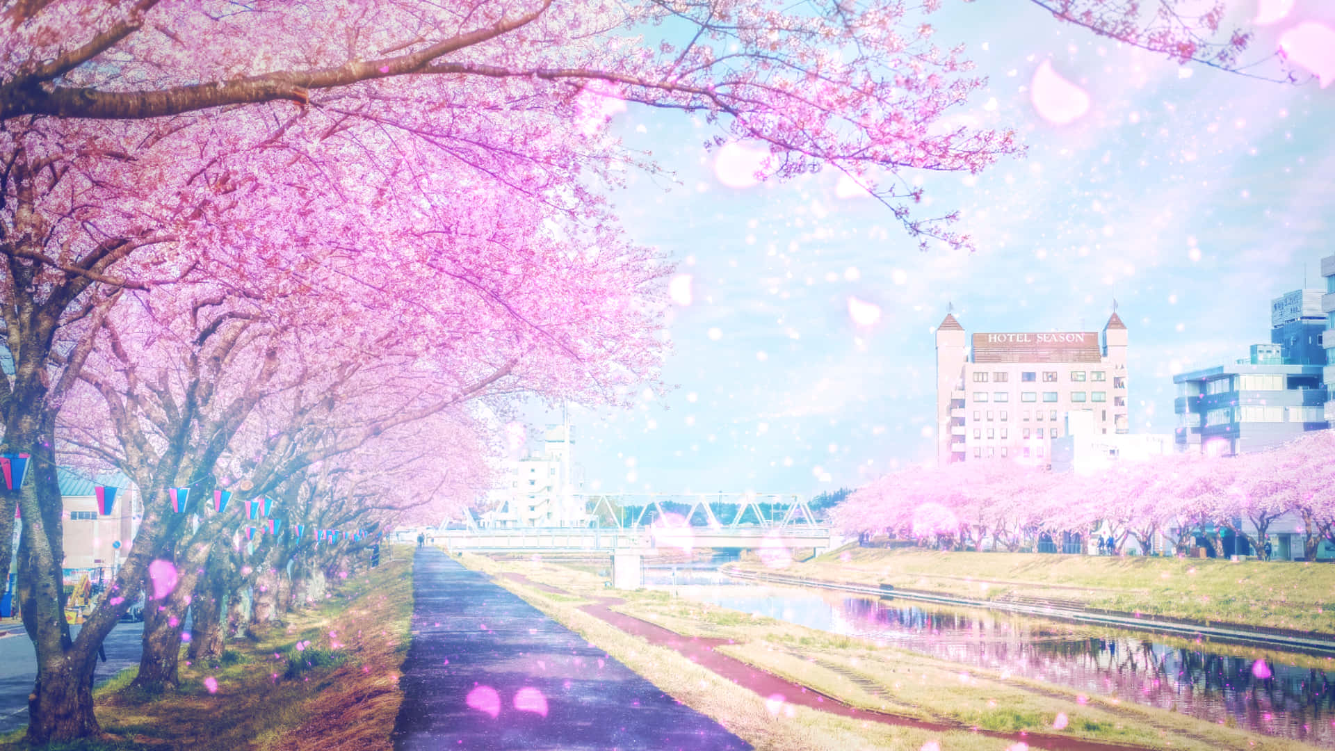 Find Serenity In Your Desktop With The Sakura Pc Background
