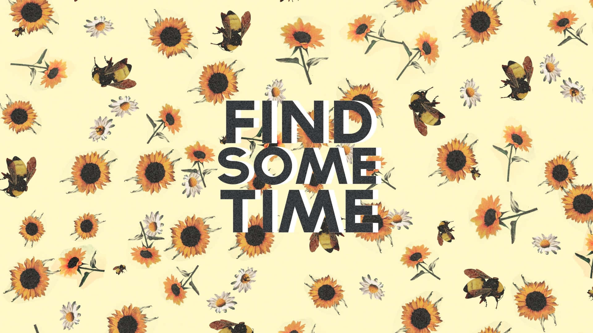 Find Some Time - Sunflowers Background
