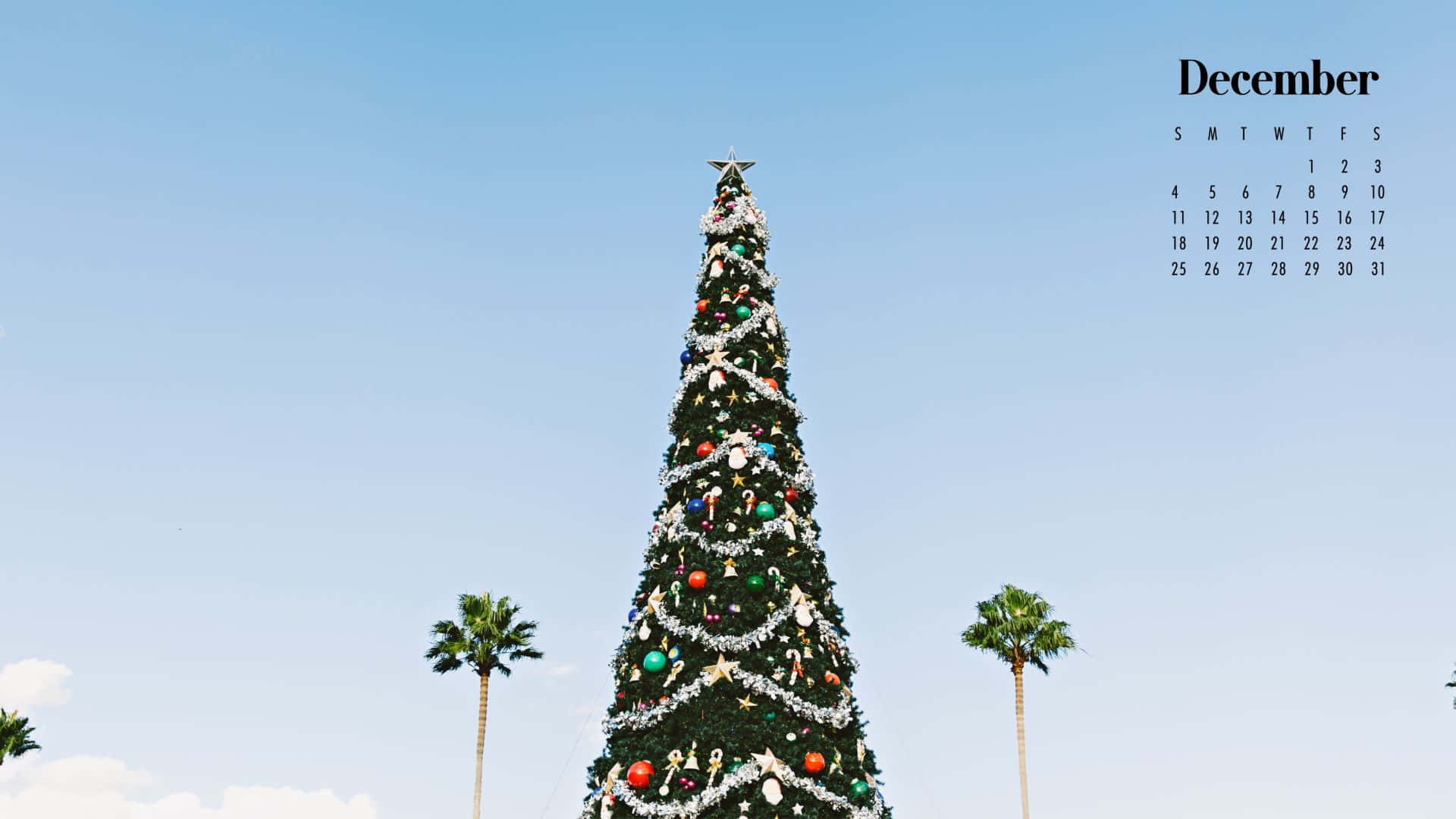 Find Your Own Cuteness This December Background