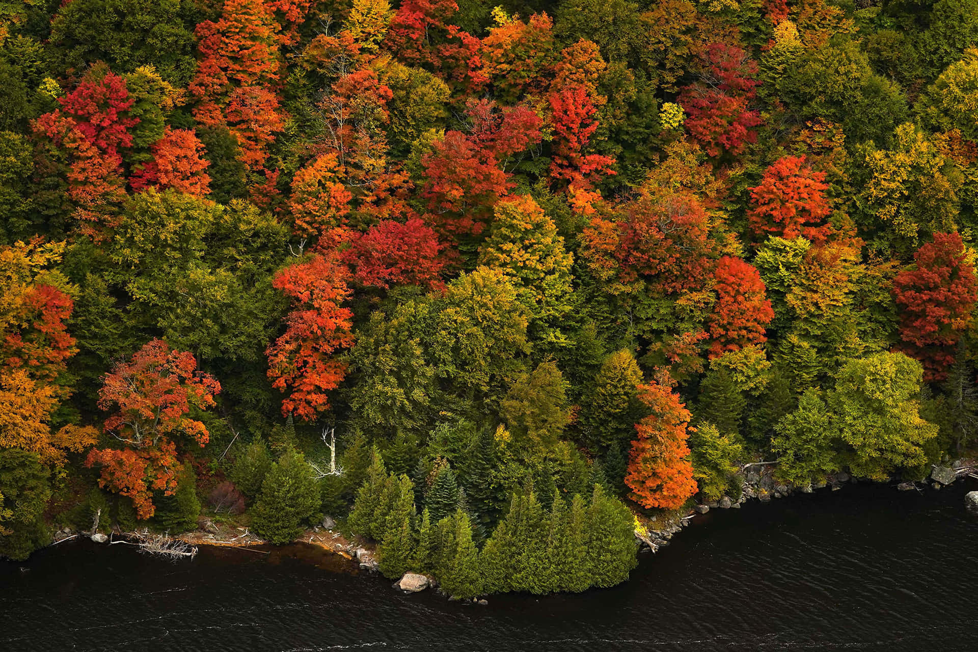 Find Your Peace, Joy And Relaxation In New England This Autumn Background