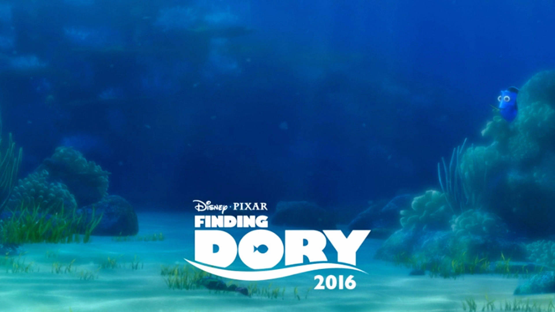 Finding Dory 2016 Movie Background
