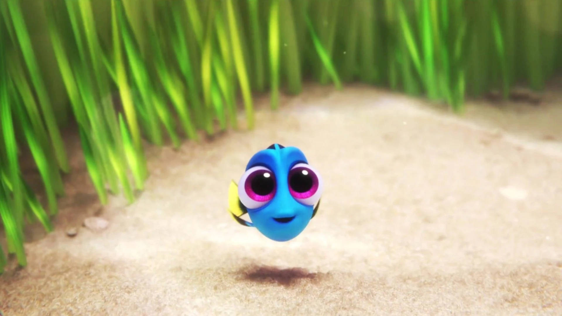 Finding Dory Adorable Little Dory Background