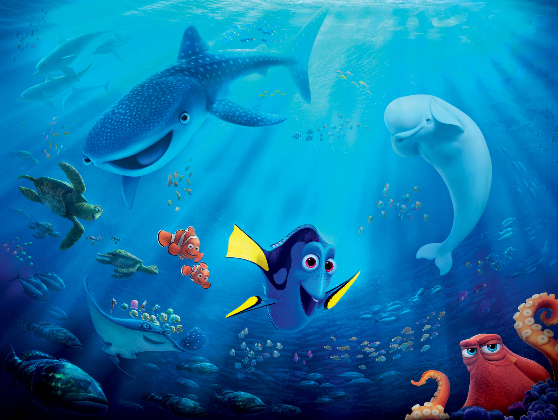 Finding Dory Animal Creatures Background