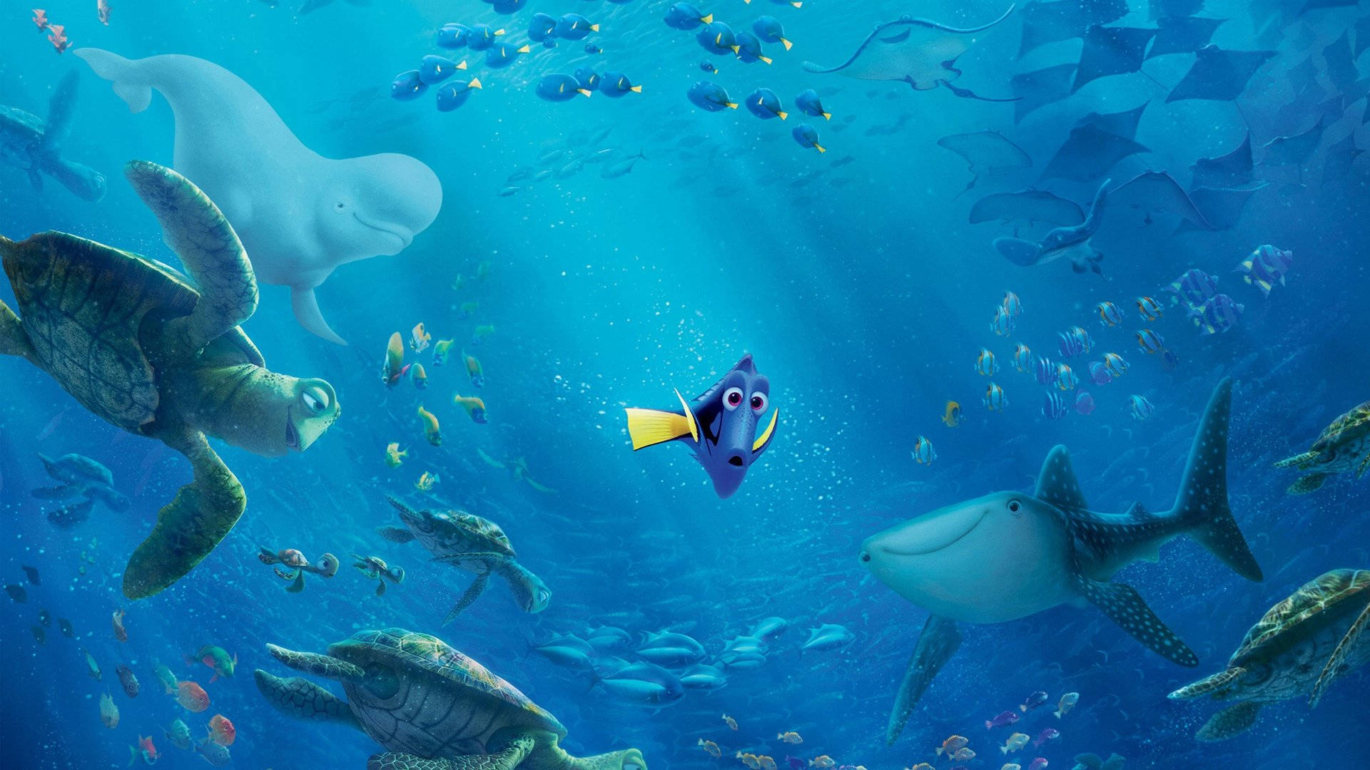 Finding Dory Background Of Ocean Animals Background