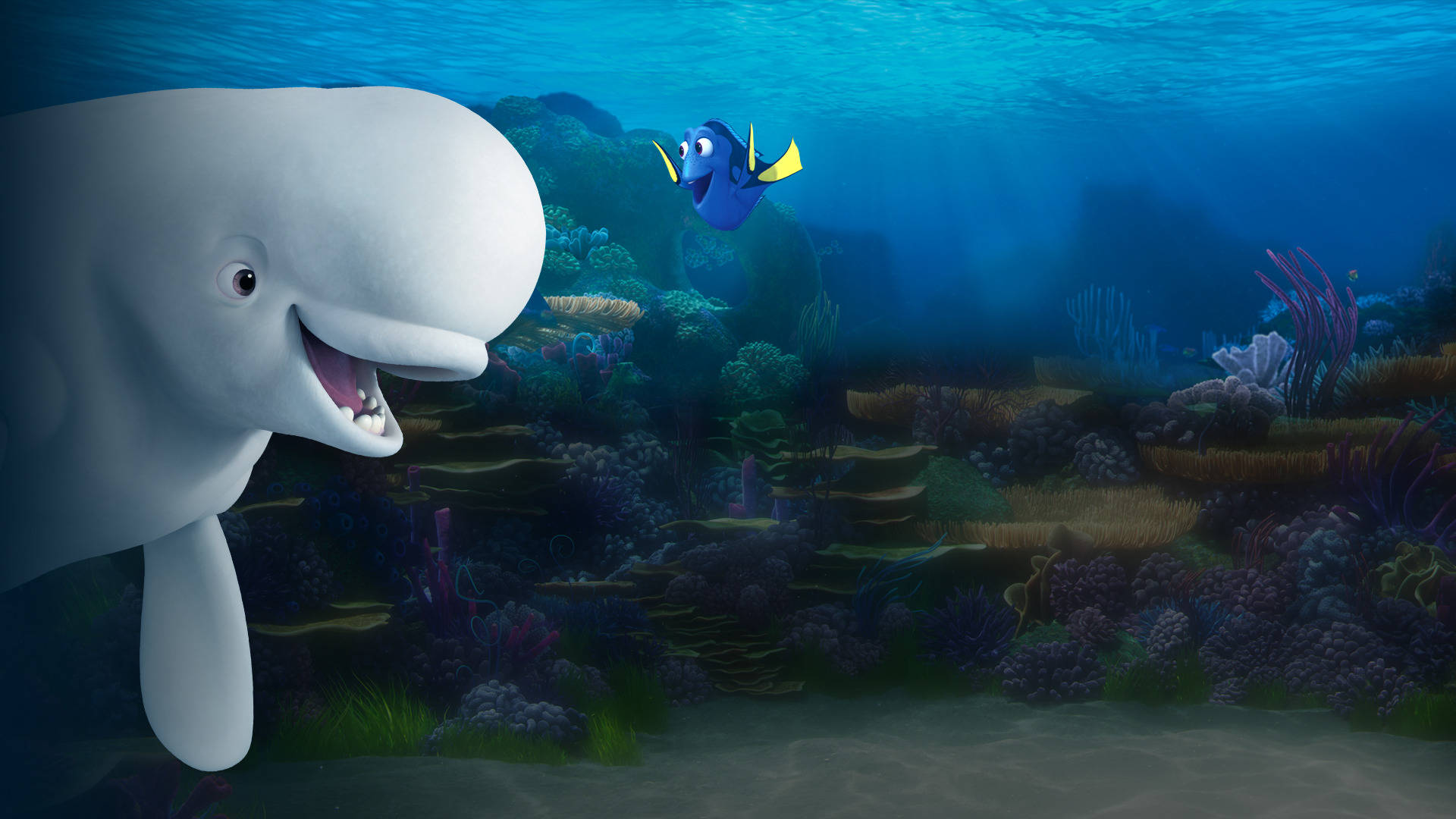 Finding Dory Bailey Background