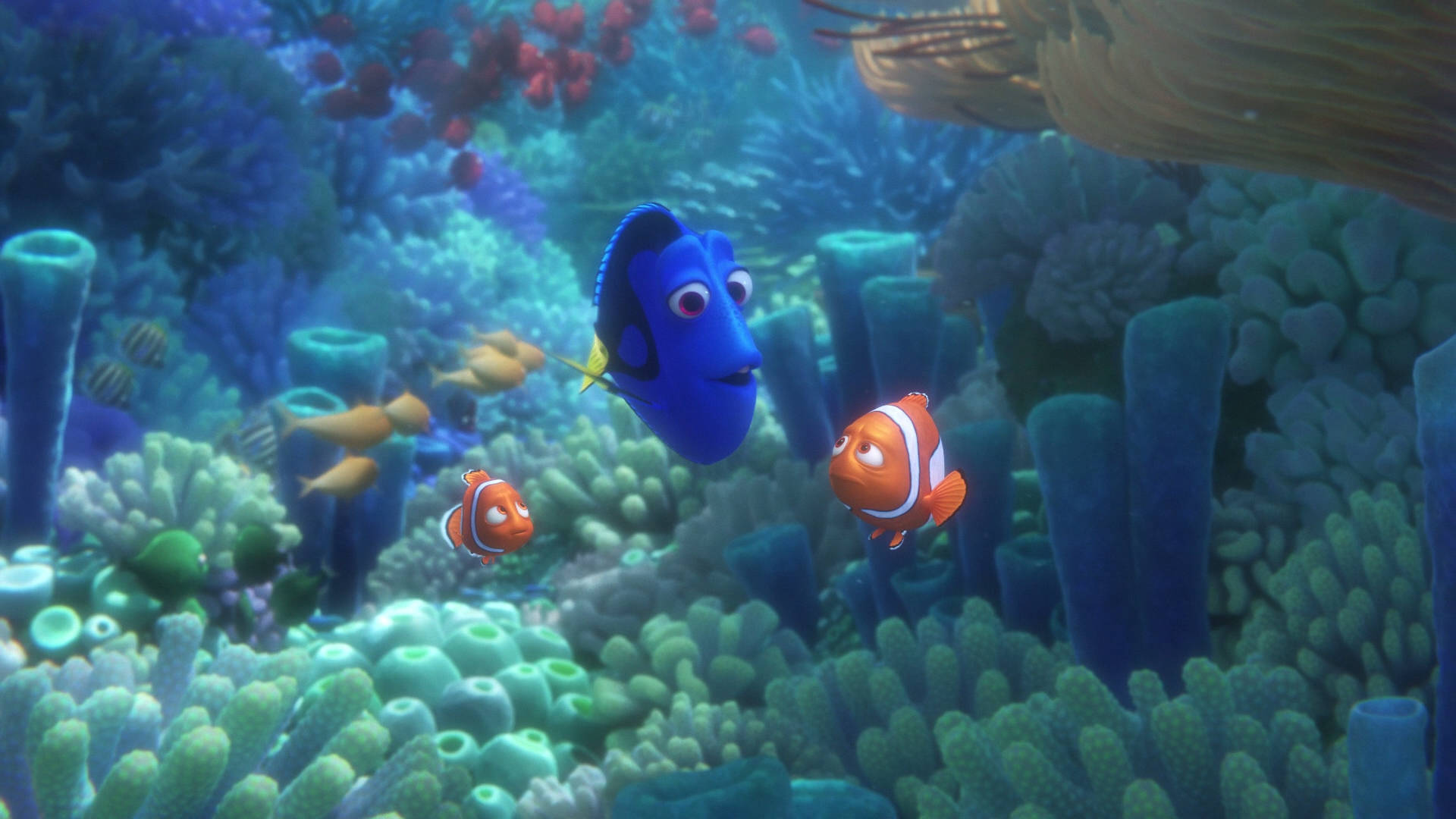 Finding Dory Characters At Sponge Corals