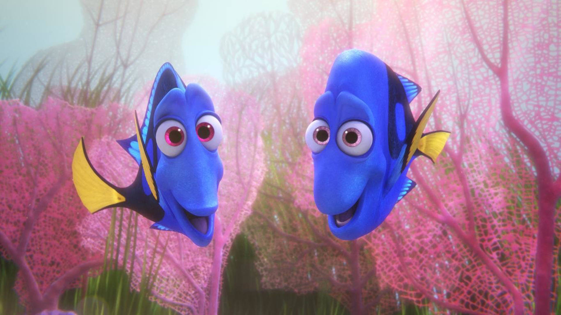 Finding Dory Charlie And Jenny