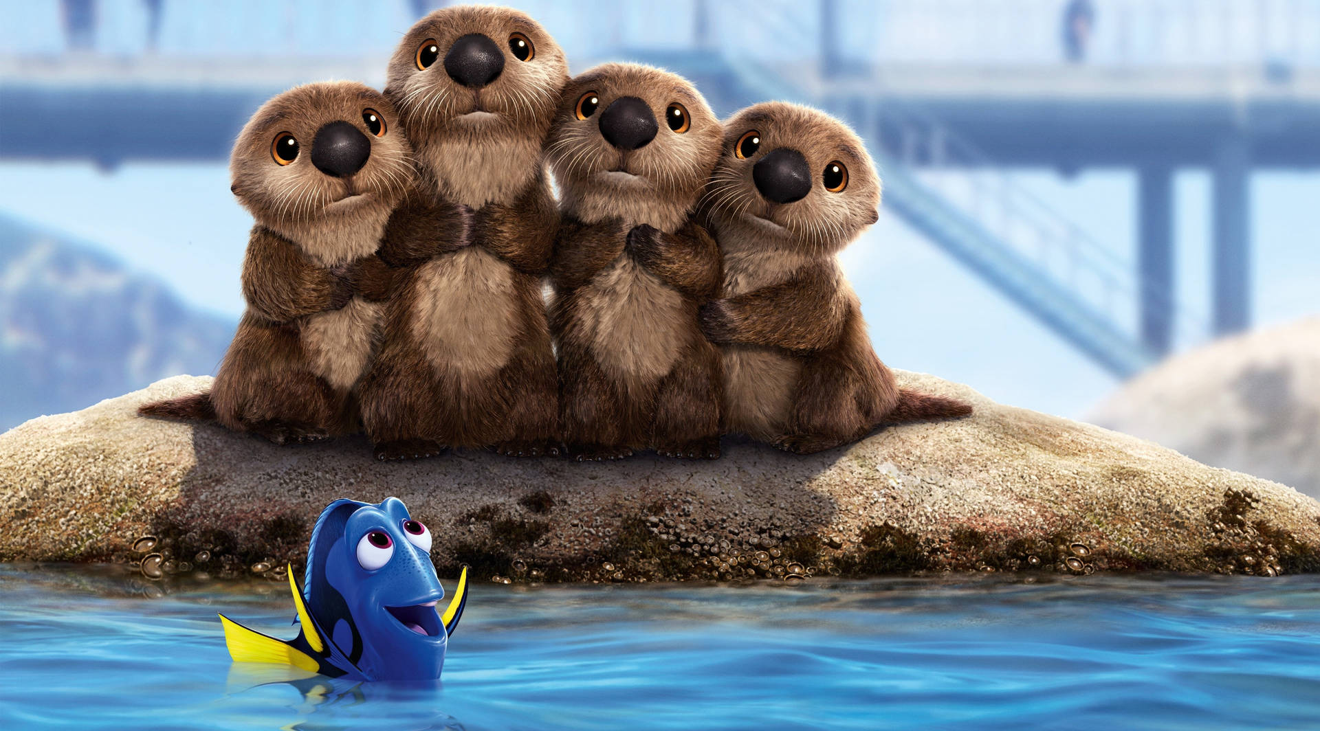 Finding Dory Cute Sea Otters Background