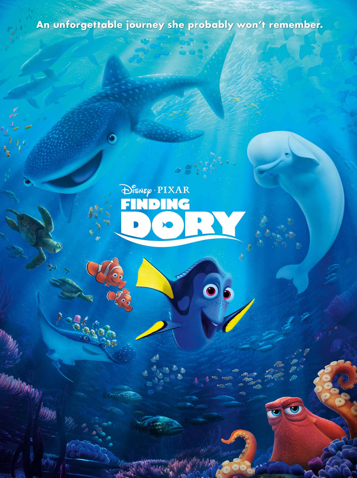 Finding Dory Ocean Creatures Movie Poster Background