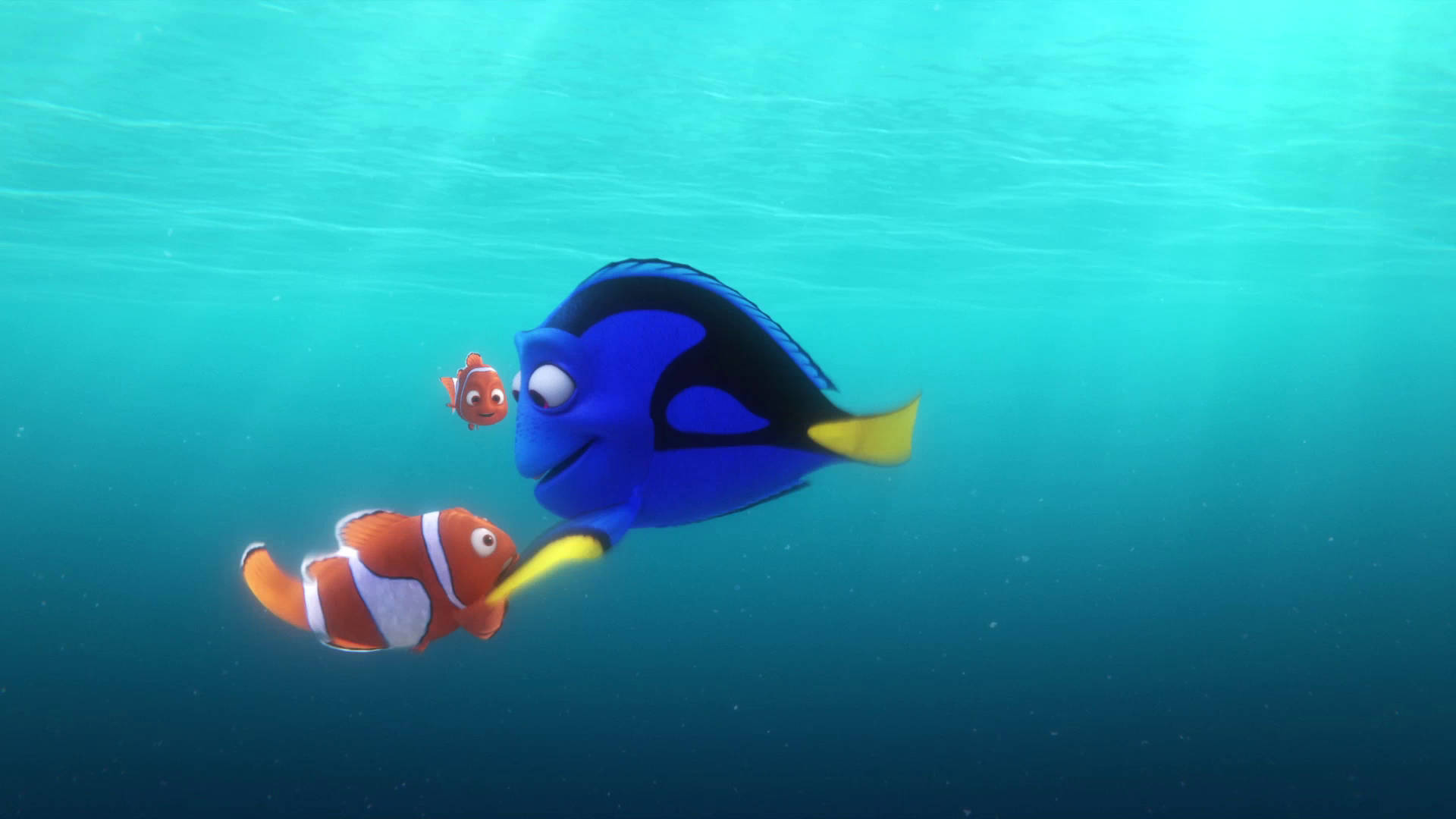 Finding Dory Screencaps Dory Tapping Marlin Background