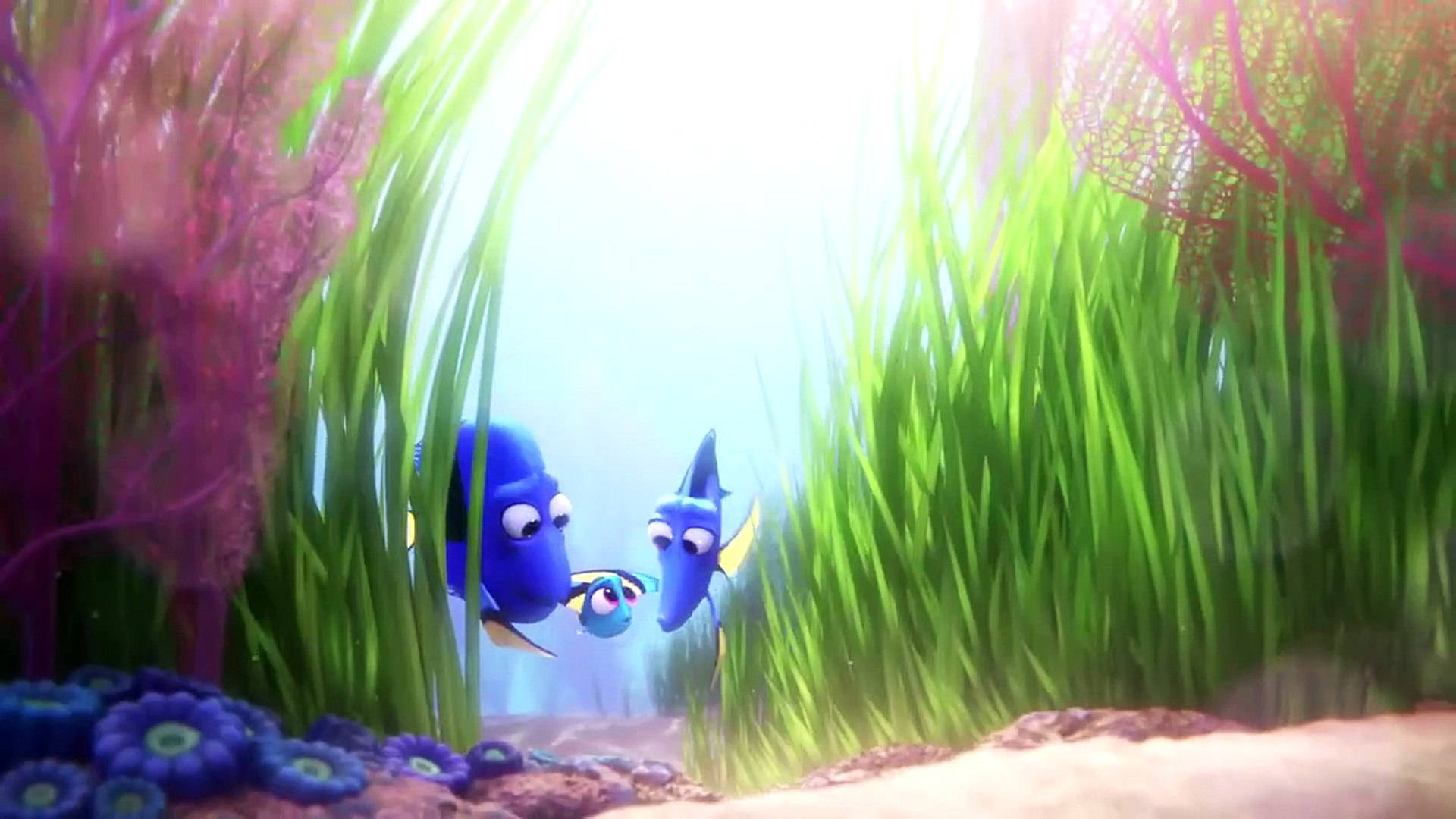 Finding Dory Supportive Parents To Dory Background