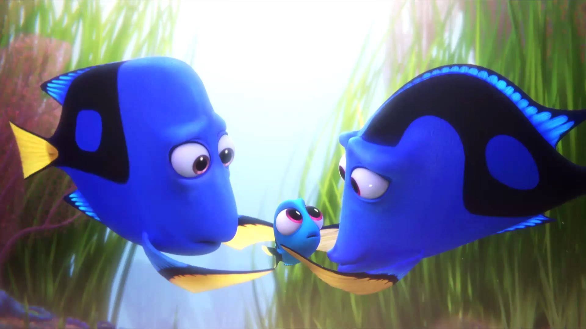 Finding Dory Worried Parents Background