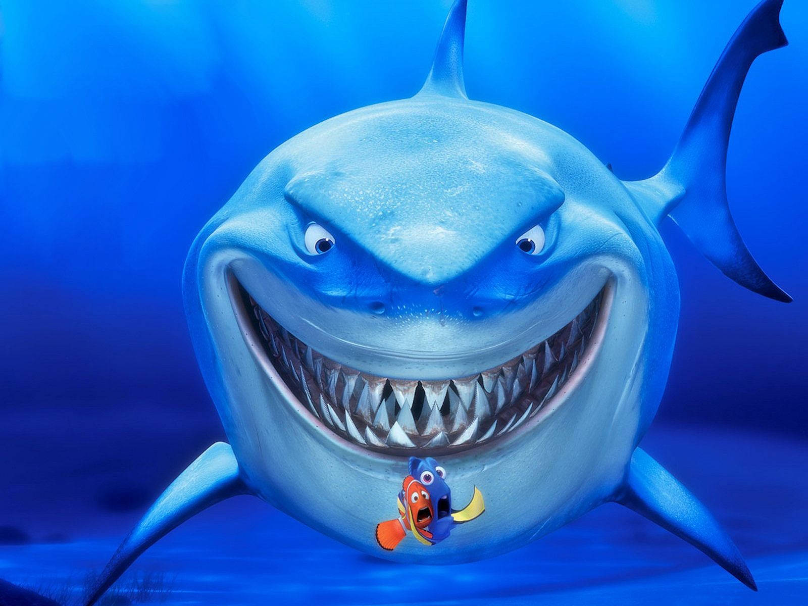 Finding Nemo Bruce With Dory Marlin