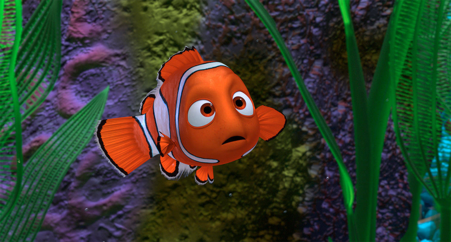 Finding Nemo Clown Fish