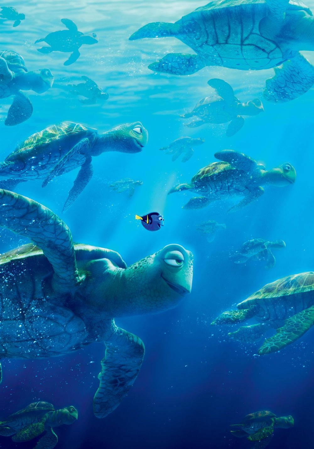Finding Nemo Dory With Turtles Background