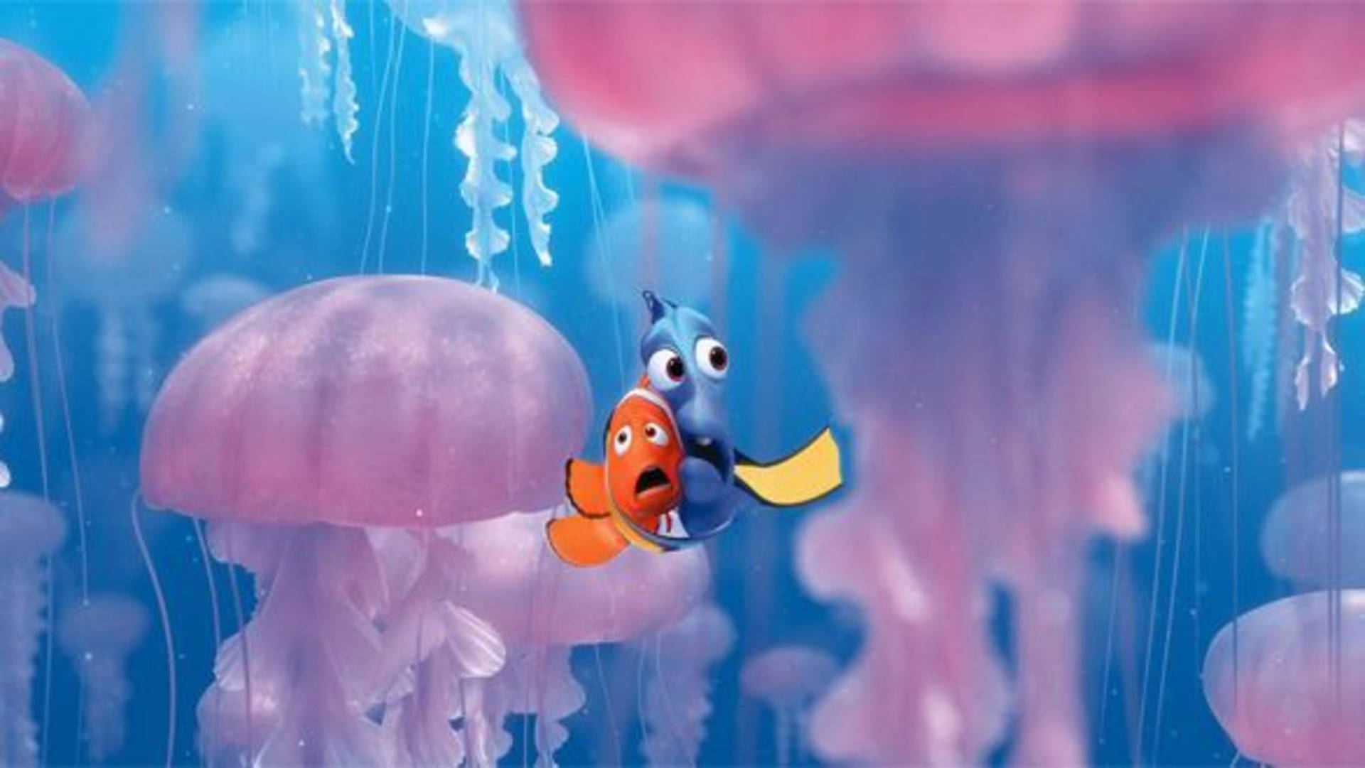 Finding Nemo Huge Pink Jellyfishes