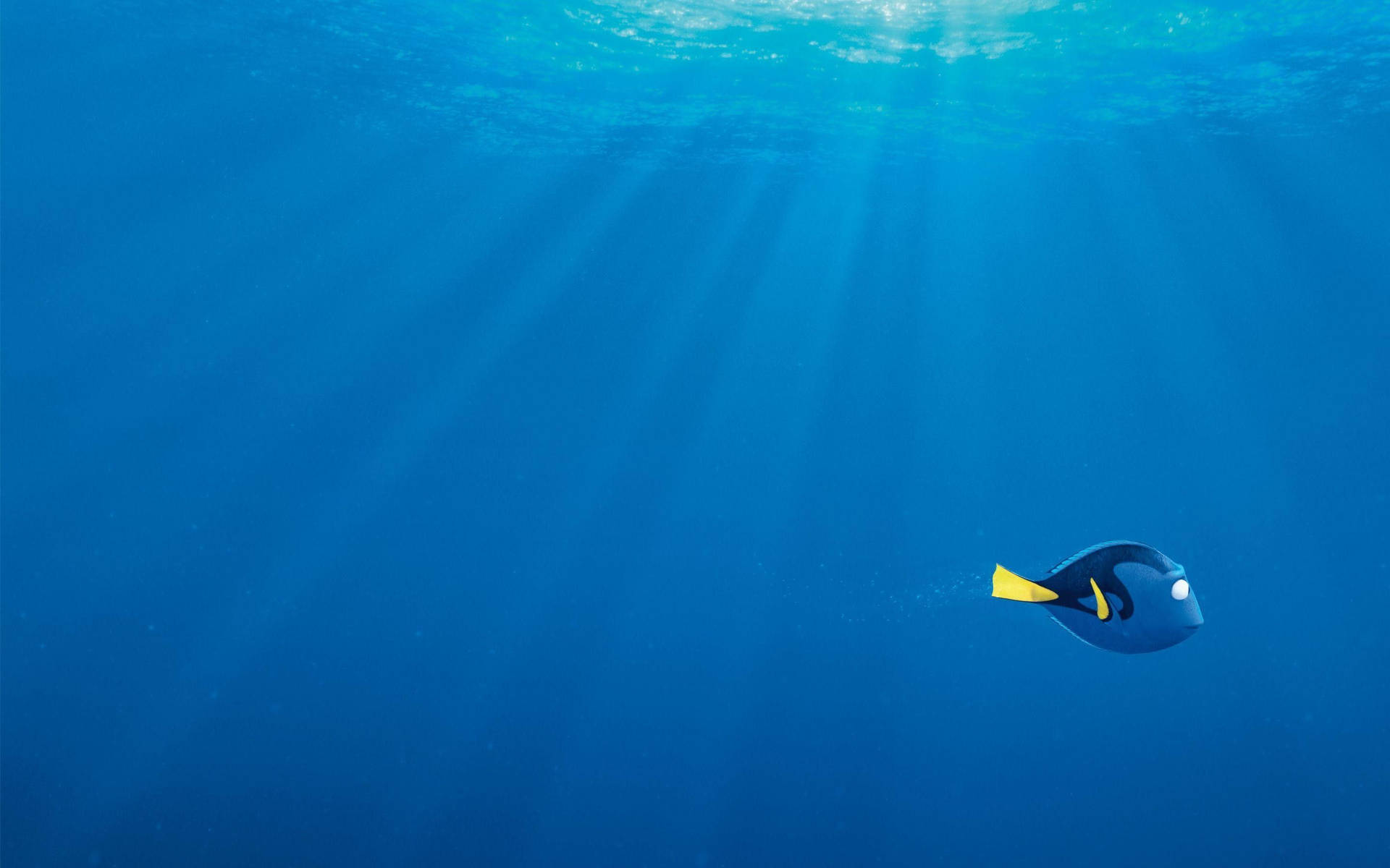 Finding Nemo With Lonely Dory