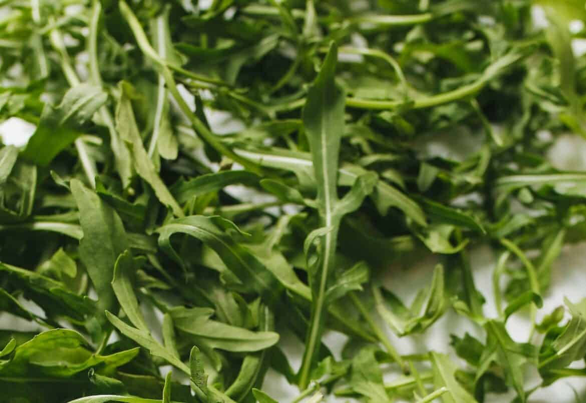 Fine Arugula Leaves Pile